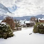 Hori-2 By Interhome Apartman Grindelwald