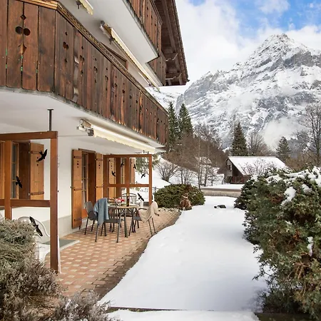 Hori-2 By Interhome Apartment Grindelwald